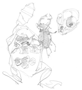 Frog Beetle Monkey Larvae LEVELS