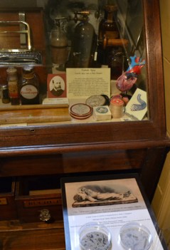 germinating-theory crop