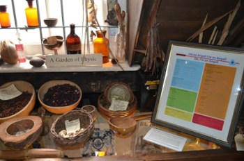 WEB 4 Faithful Frolics 1 72