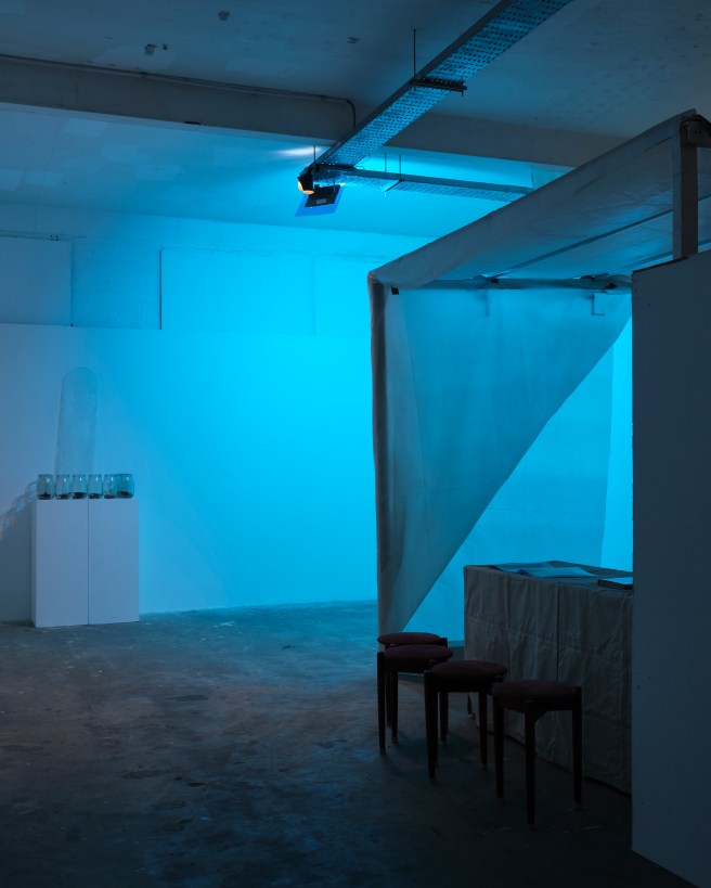 20191024 Platform Eco-evo-devo 007